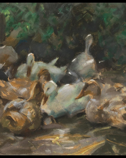 Enten mit Futtertrog