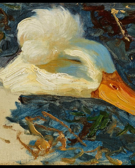 Entenkopfstudie mit Federkrone