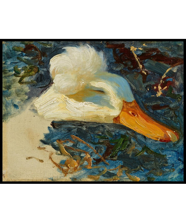 Entenkopfstudie mit Federkrone