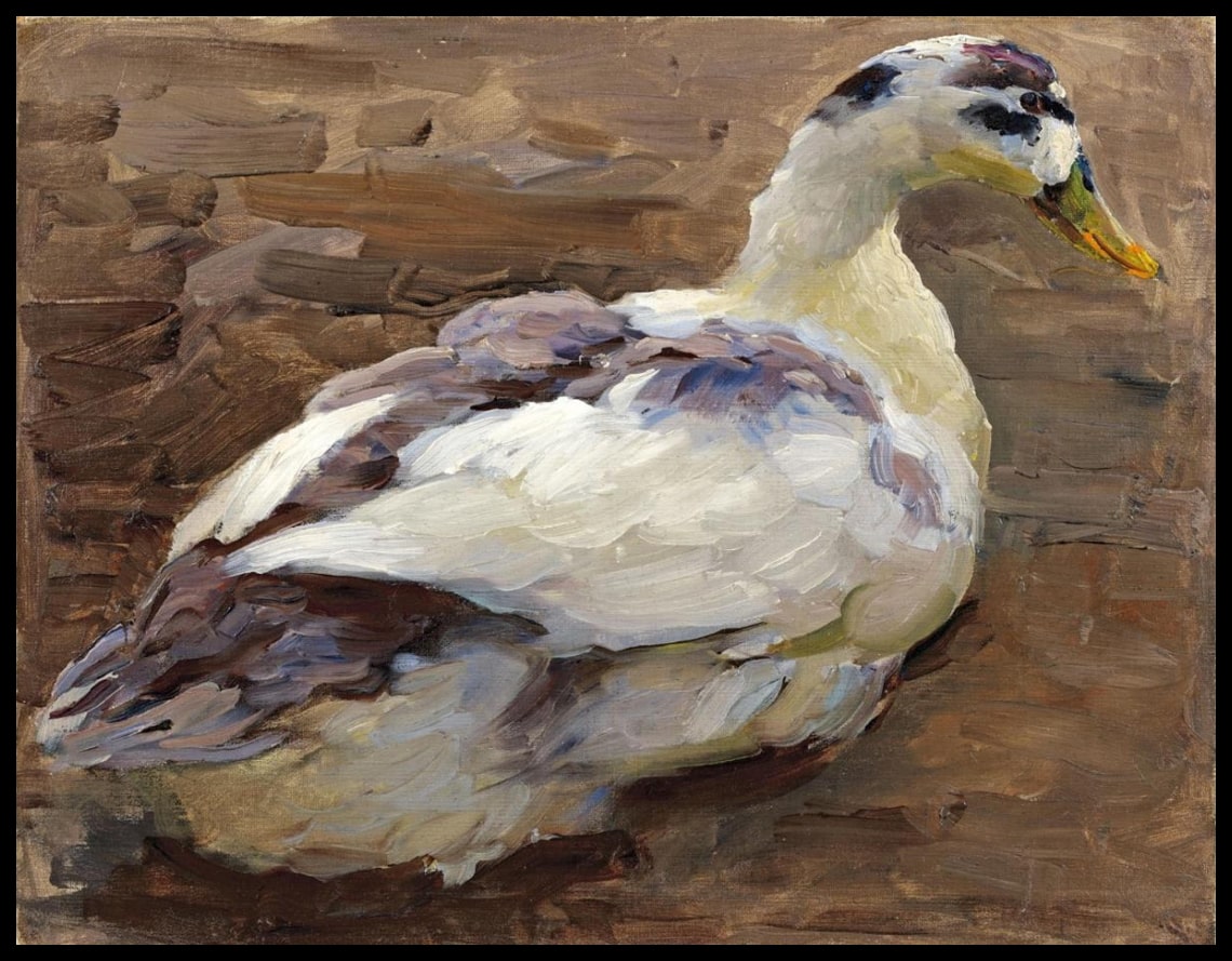 Duck study