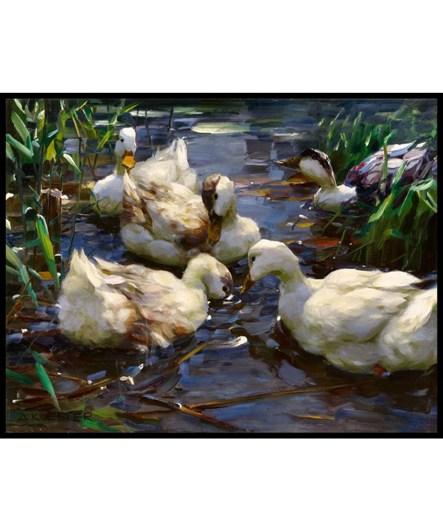 Fünf Enten im Teich