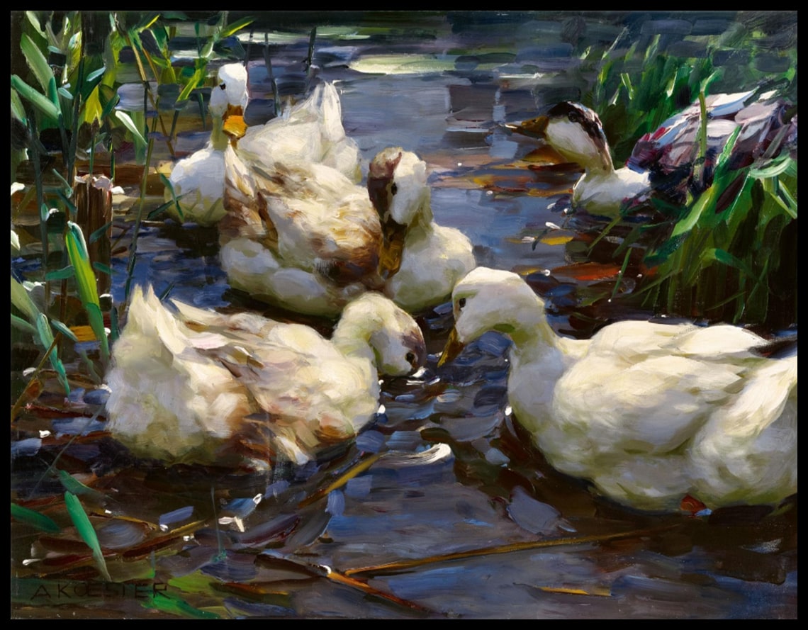 Five ducks in the pond