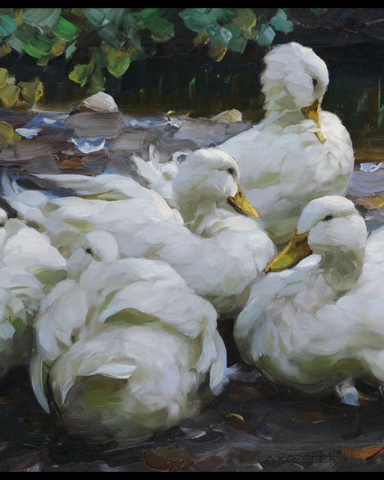 Fünf ruhende weiße Enten