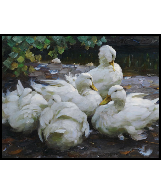 Fünf ruhende weiße Enten