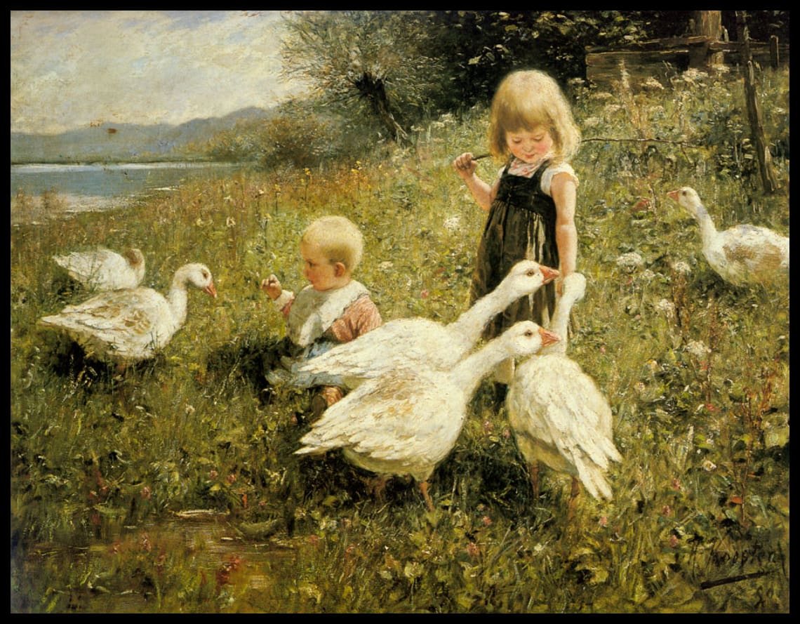 Goose feeding