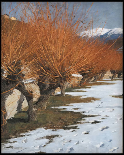 Goldweiden in der Sonne