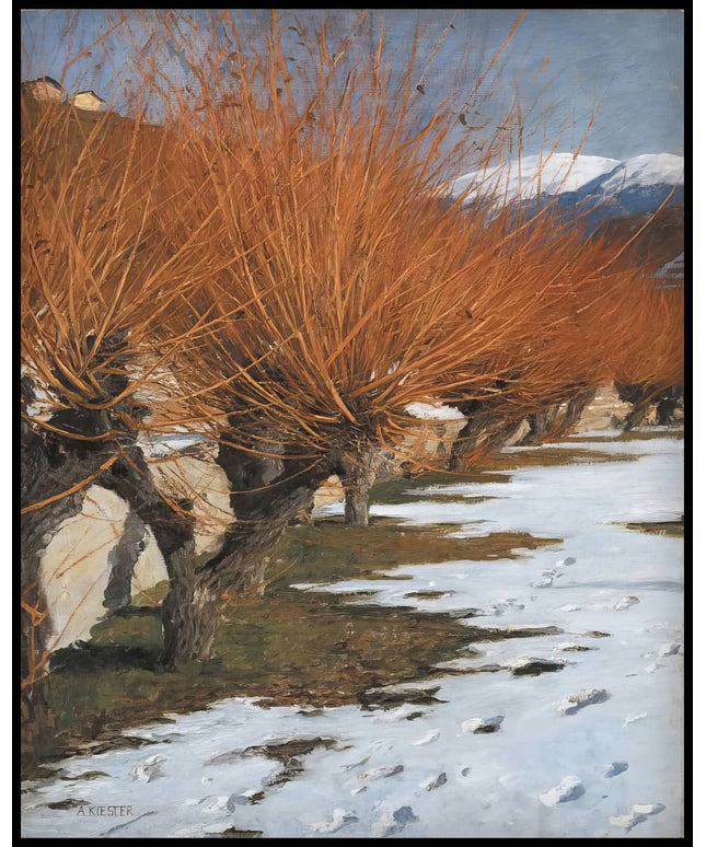 Goldweiden in der Sonne