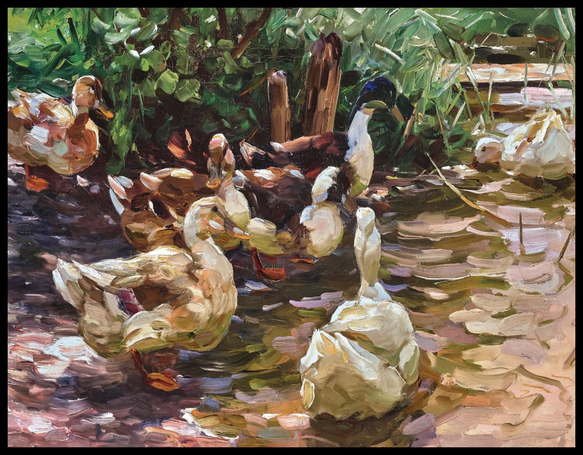 In sunny water