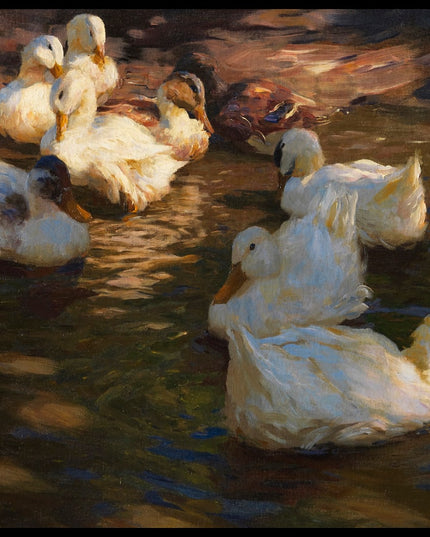 Neun Enten im Abendlicht