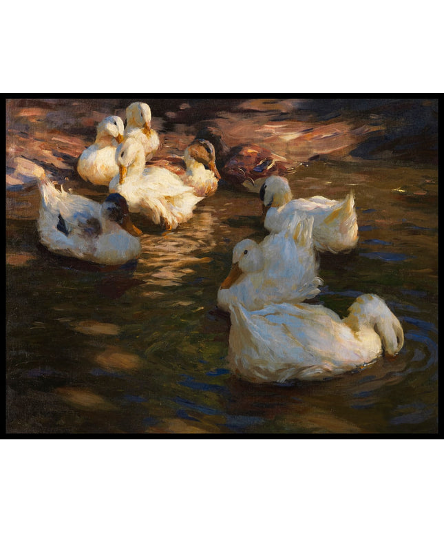 Neun Enten im Abendlicht