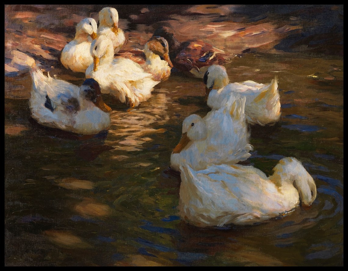 Nine ducks in the evening light