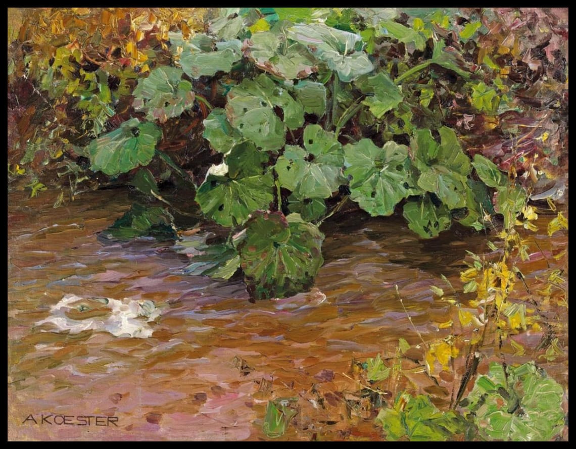 Plants by the water