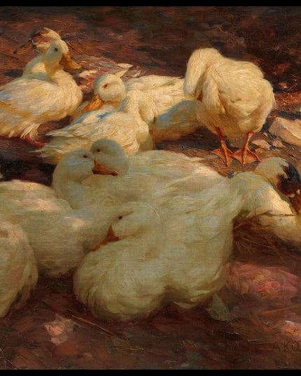 Ruhende Enten am Ufer