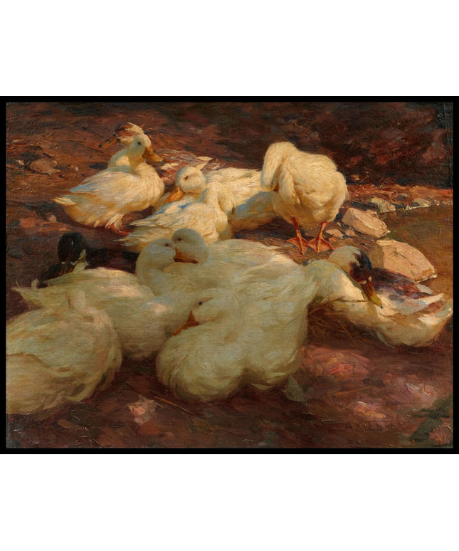 Ruhende Enten am Ufer