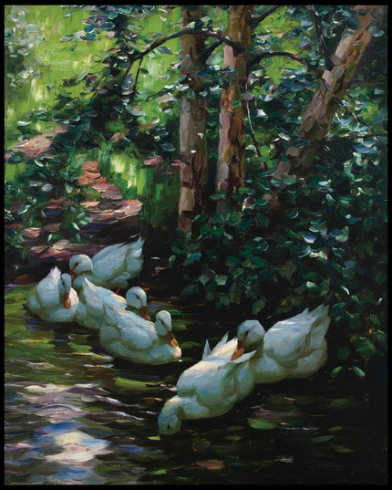 Sechs Enten im Wasser