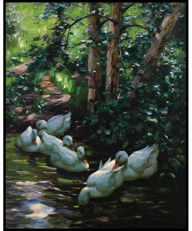 Sechs Enten im Wasser