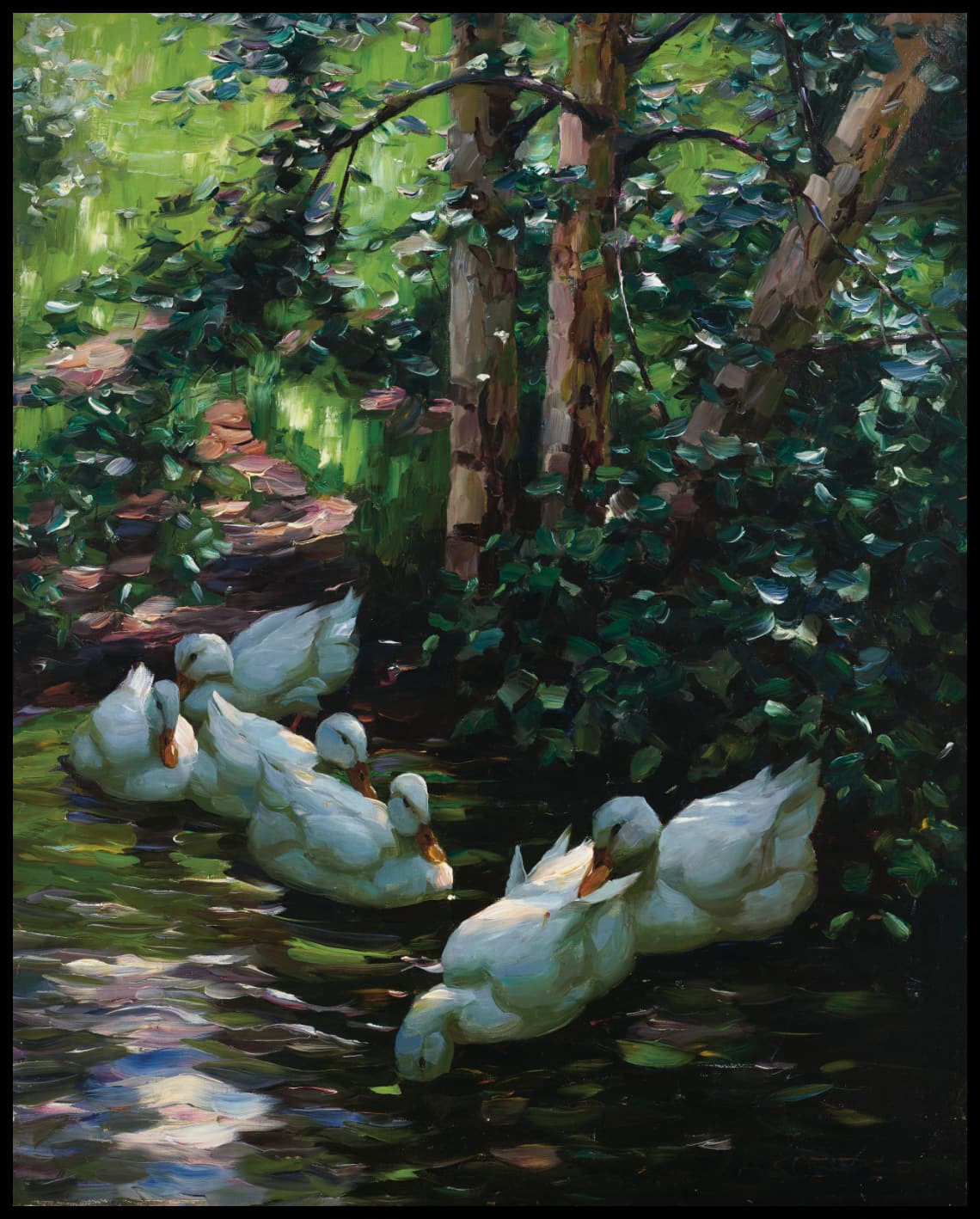 Six ducks in the water