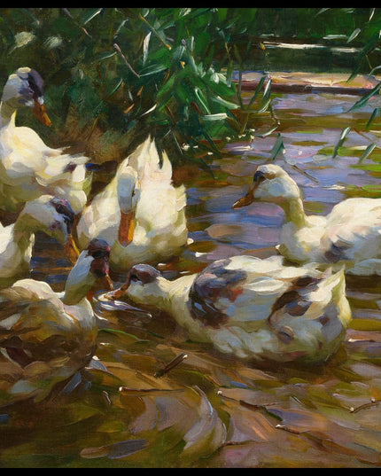 Sechs Enten in blauem Schilfwasser