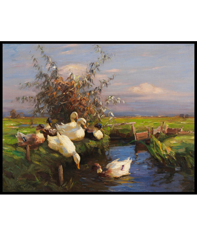 Sieben Enten am Graben