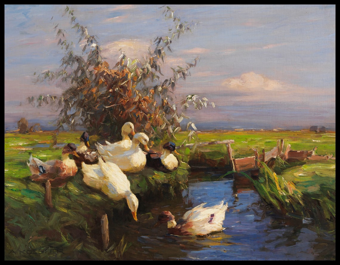 Seven ducks at the ditch