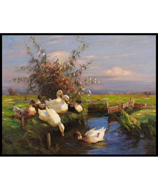 Sieben Enten am Graben