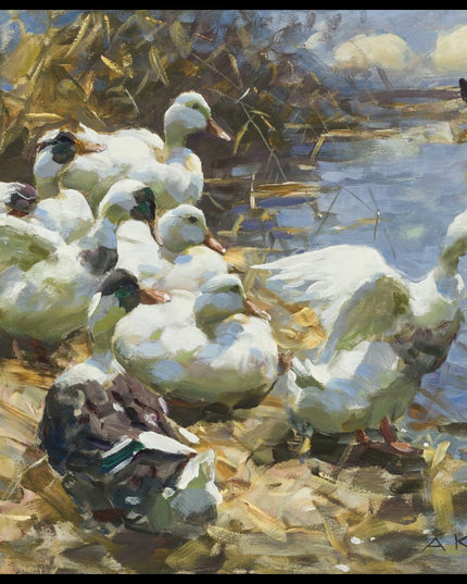 Sieben Enten am Ufer