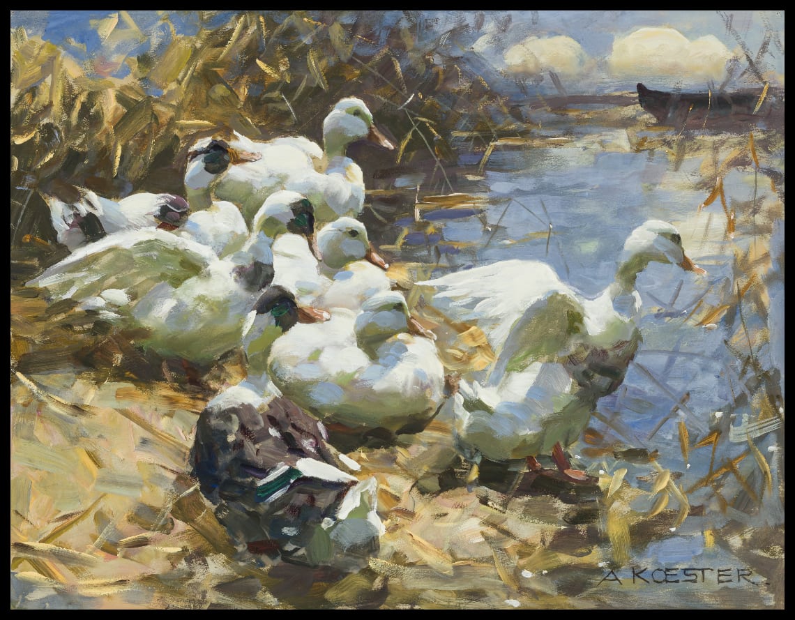 Seven ducks on the shore