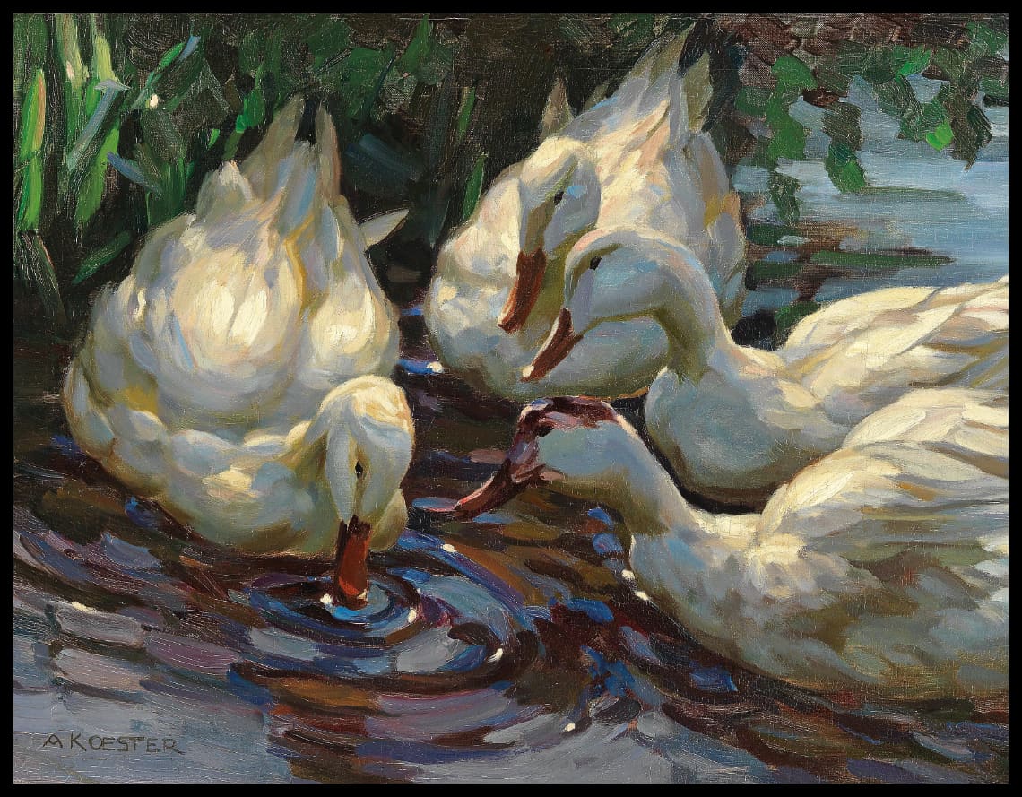 Four ducks at the pond