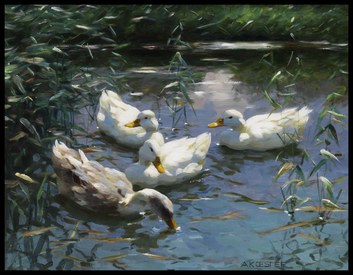 Four ducks in the pond
