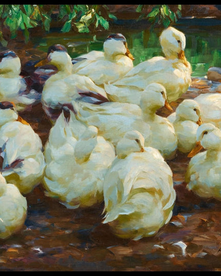 Weiße Enten am Teichufer