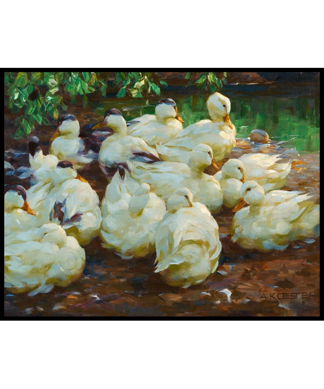 Weiße Enten am Teichufer