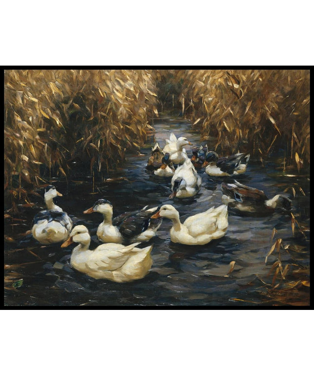 Zehn Enten im Herbstschilf