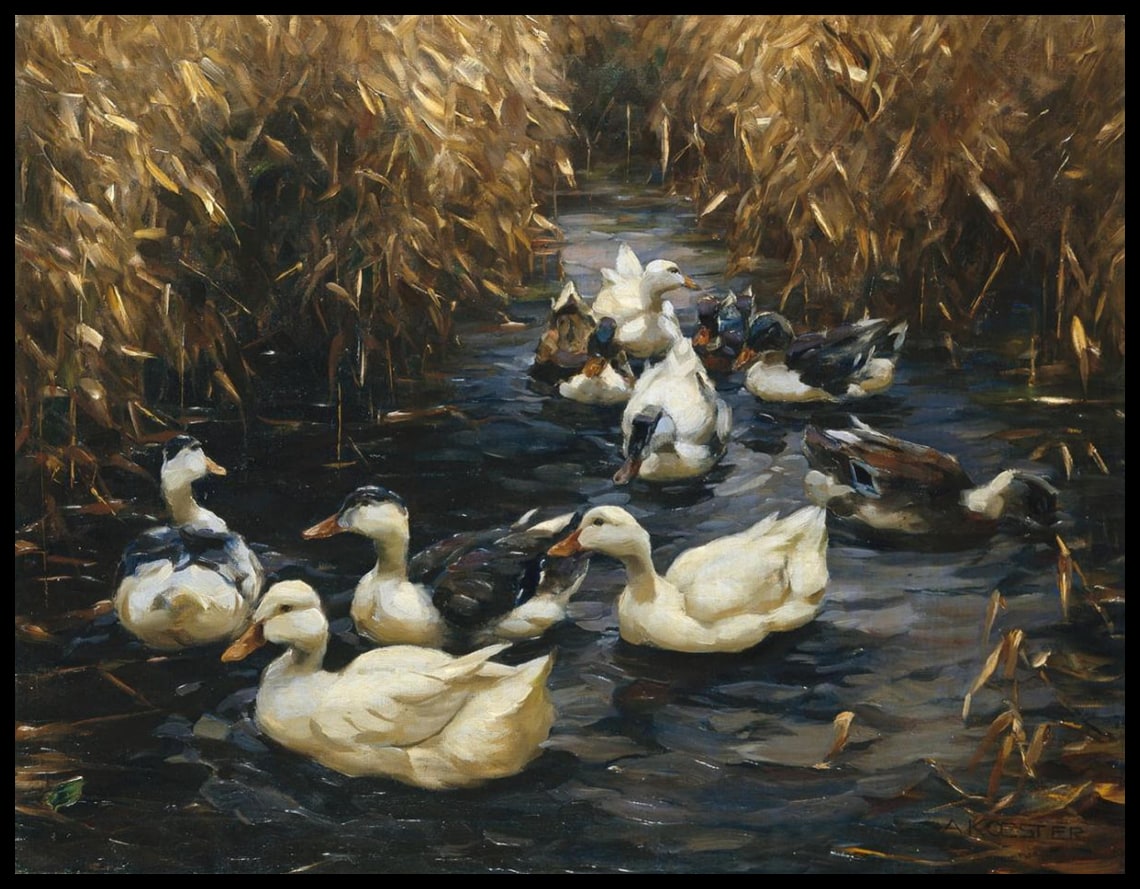 Ten ducks in the fall reeds