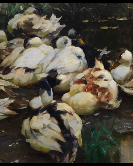 Zwölf Enten im Wasser