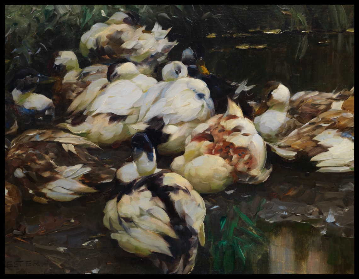 Twelve ducks in the water