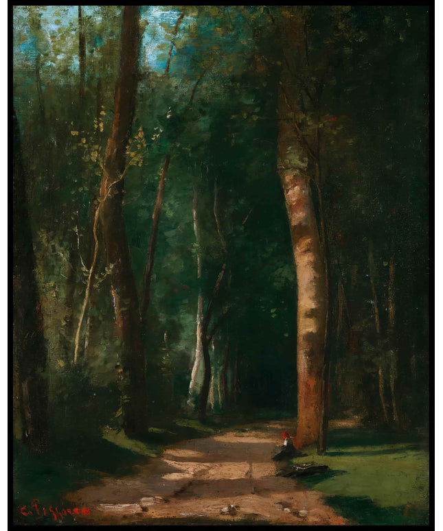 Allée Dans Une Fôret