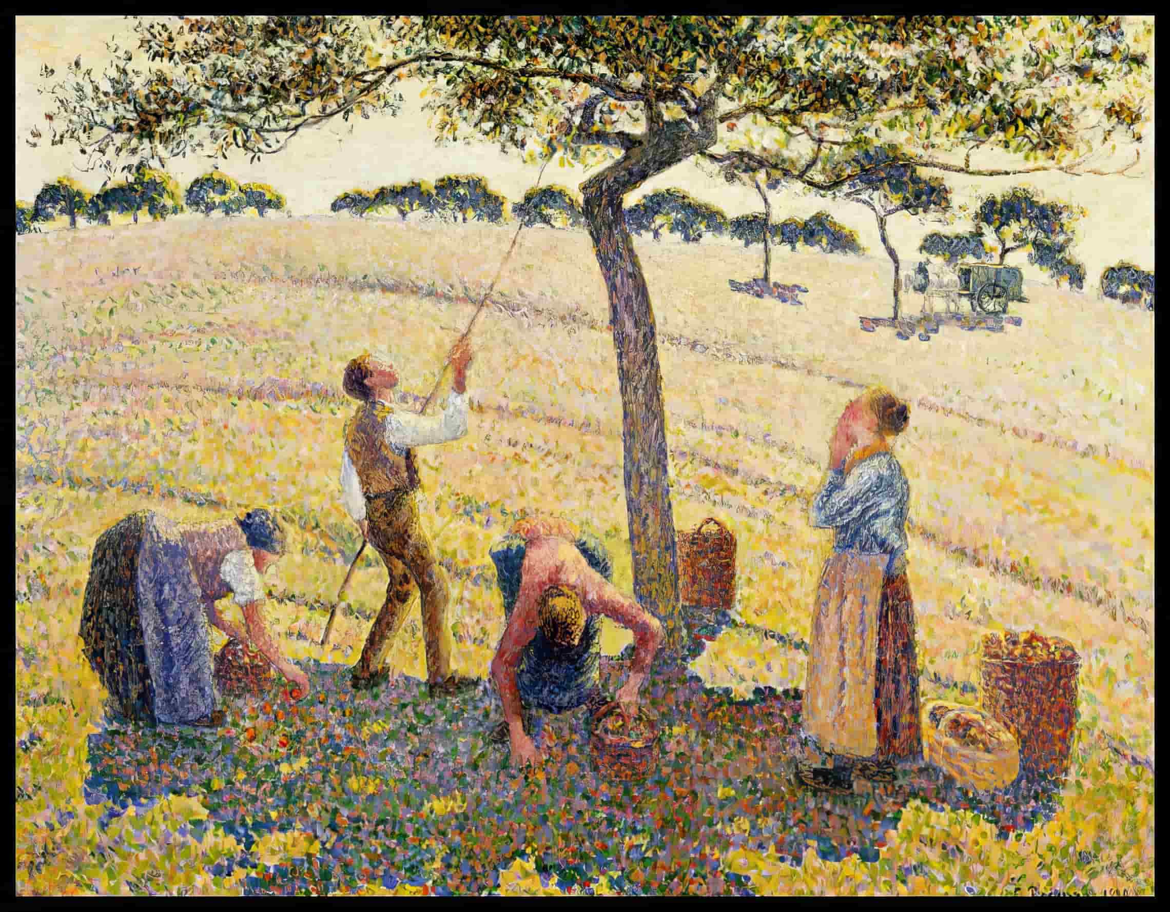 Apple Harvest