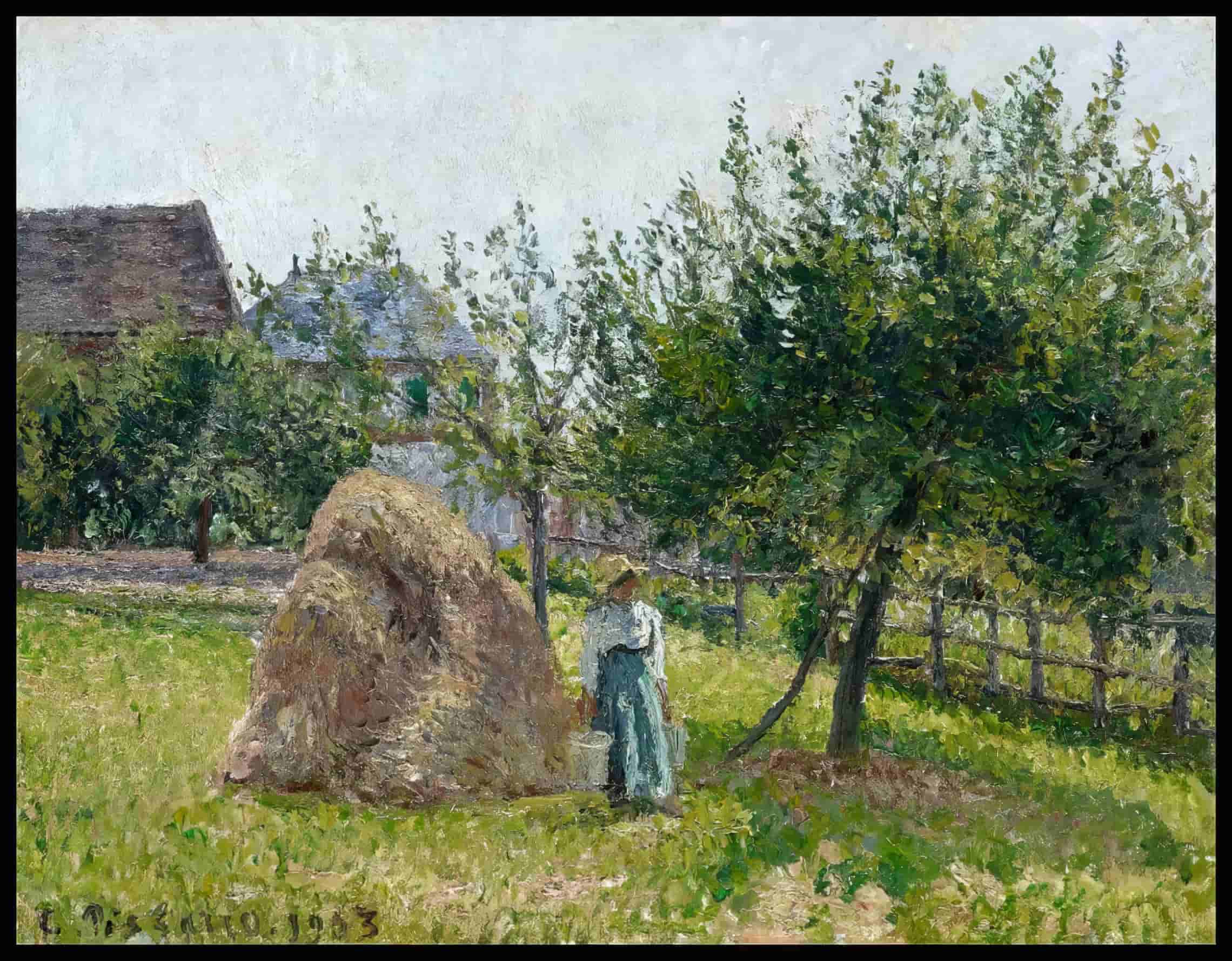 Apple Trees