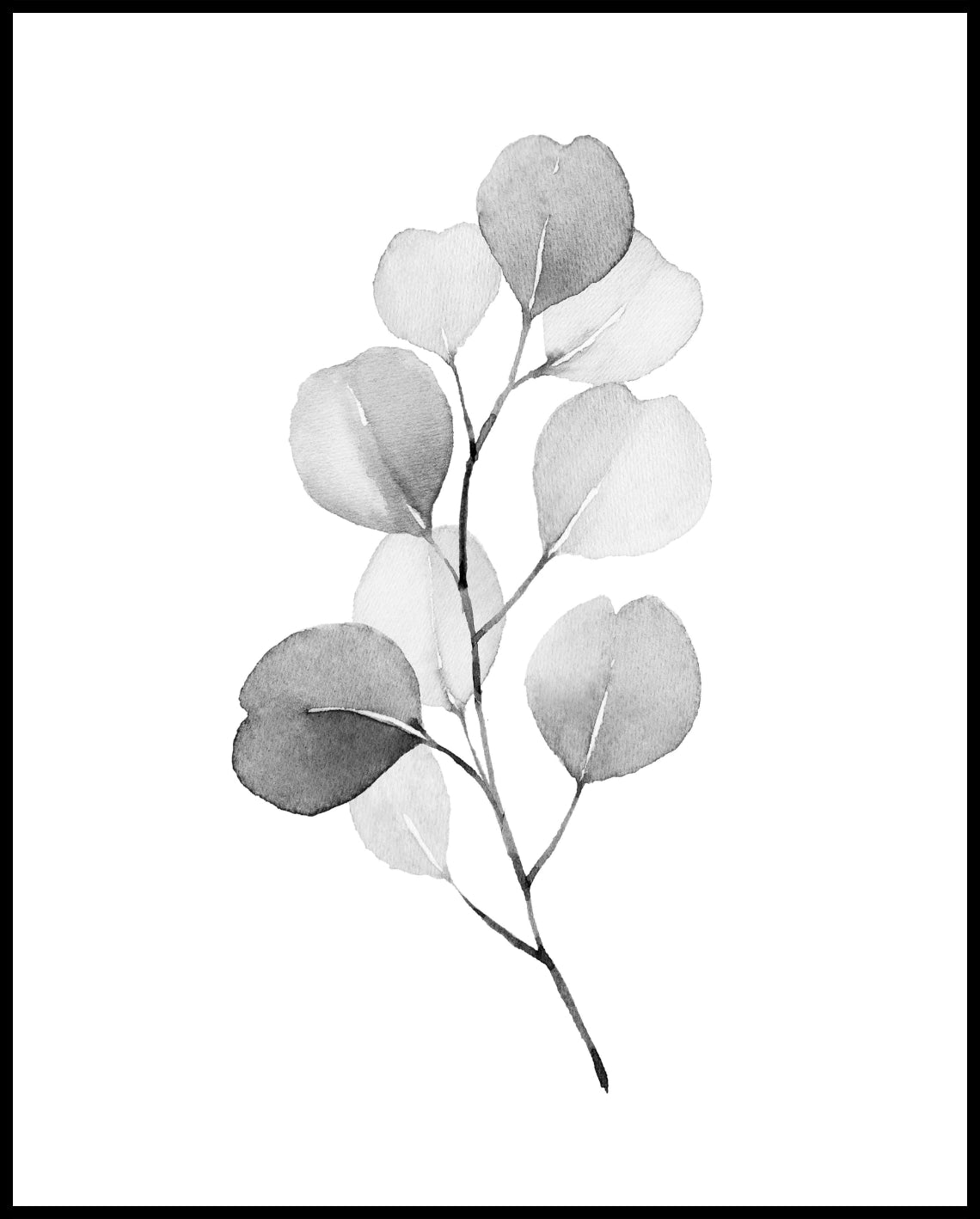 Watercolor plants poster