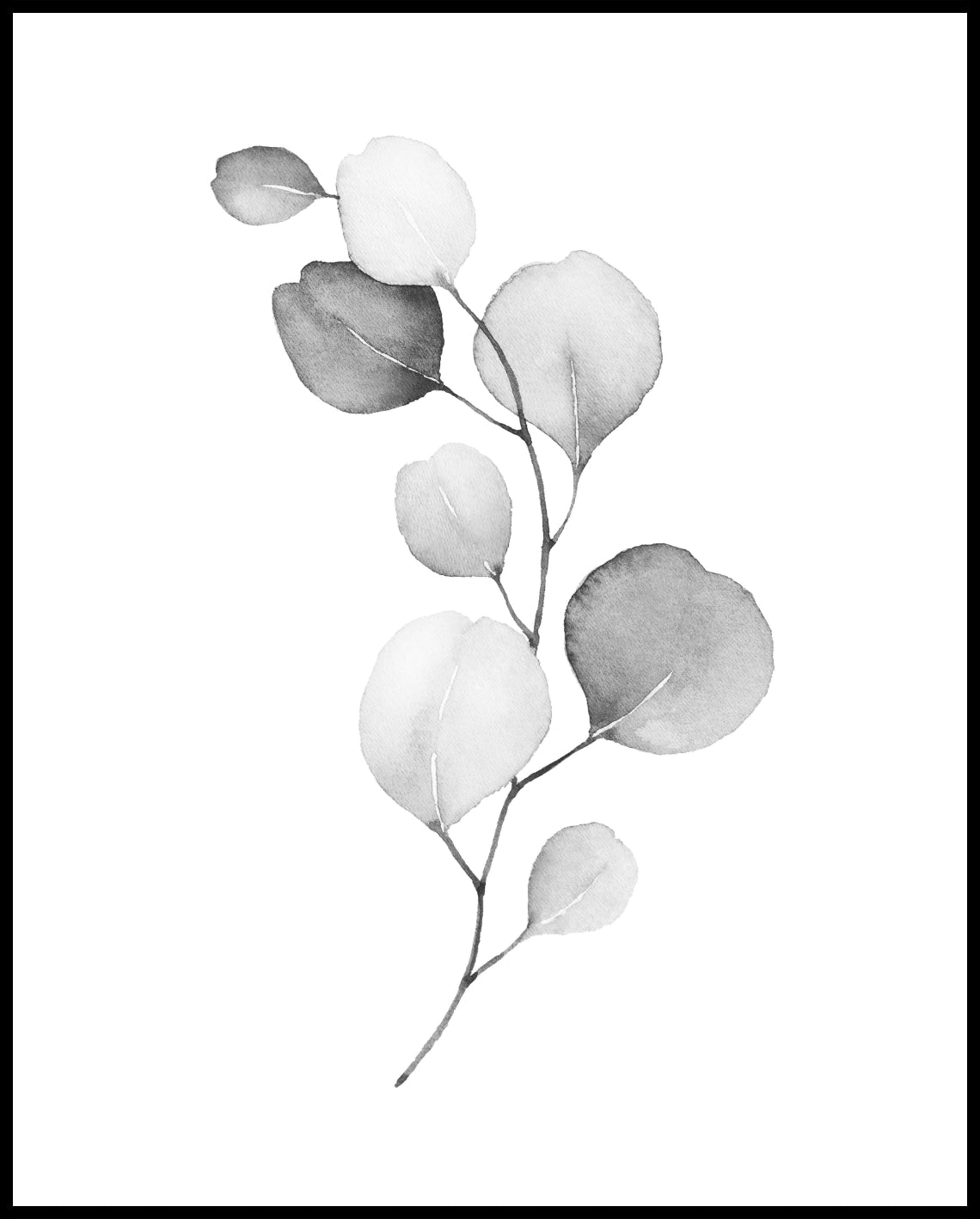 Watercolor plants poster