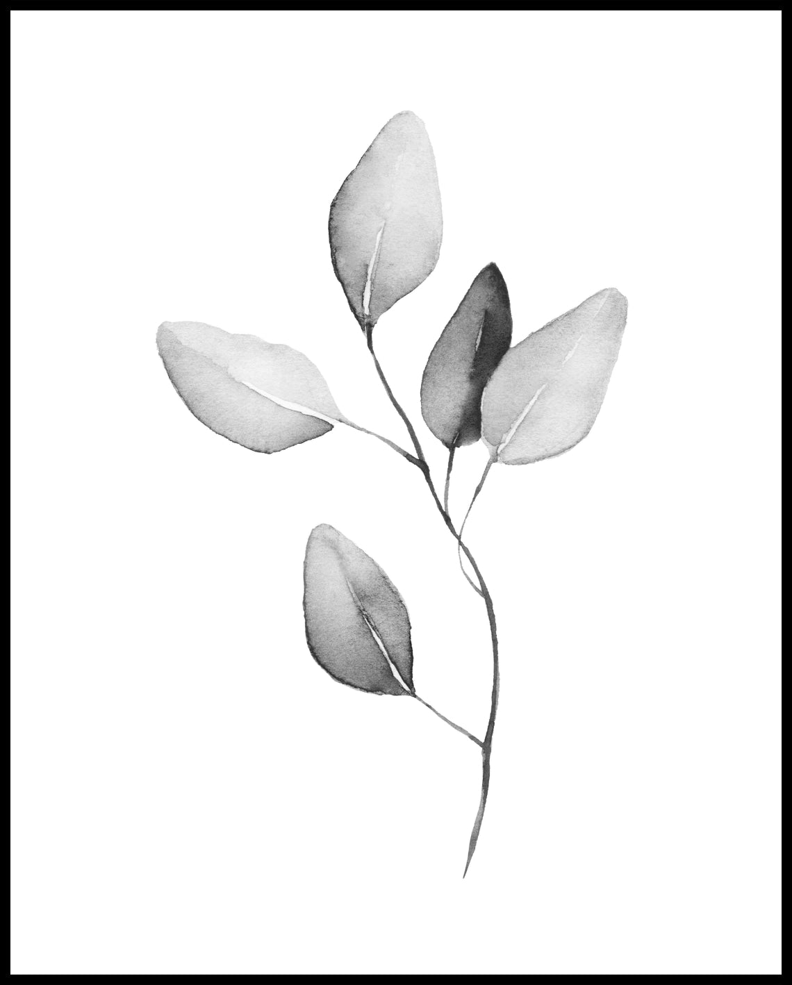 Watercolor plants poster