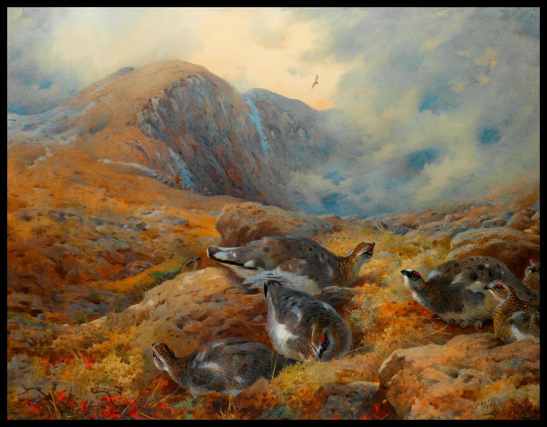 Alpenschneehuhn Poster