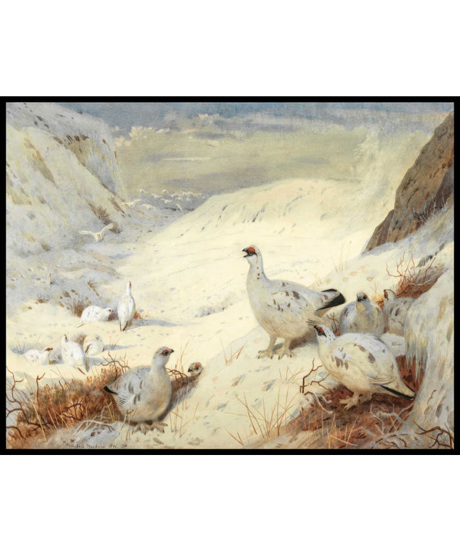 Alpenschneehuhn Poster