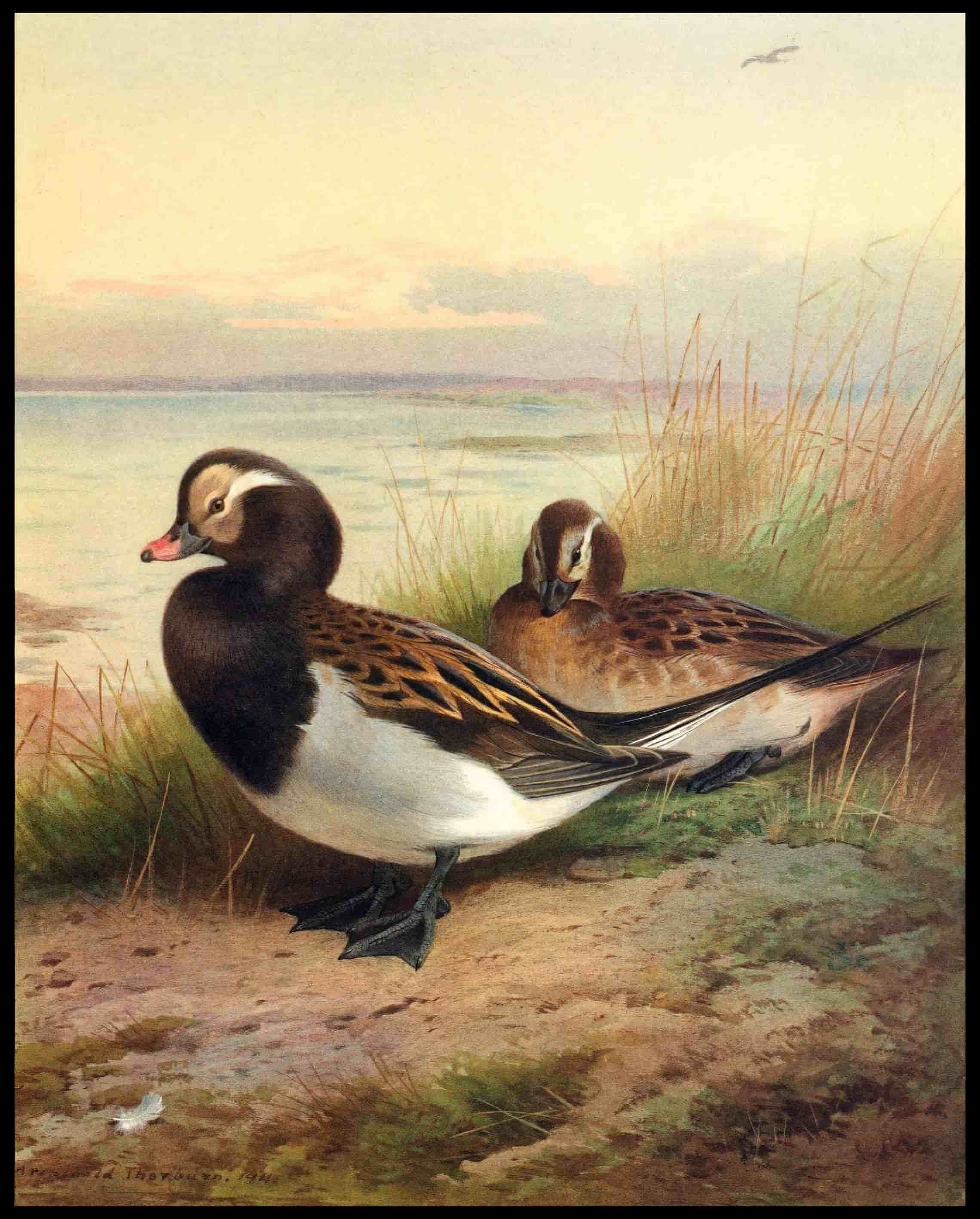 Eisenten Poster
