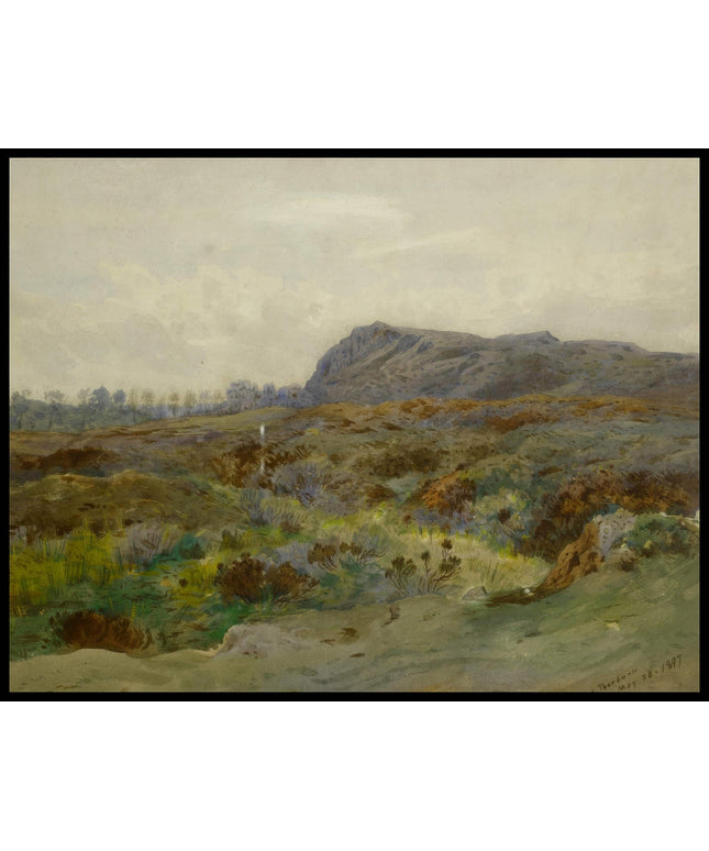 Moorlandschaft Poster