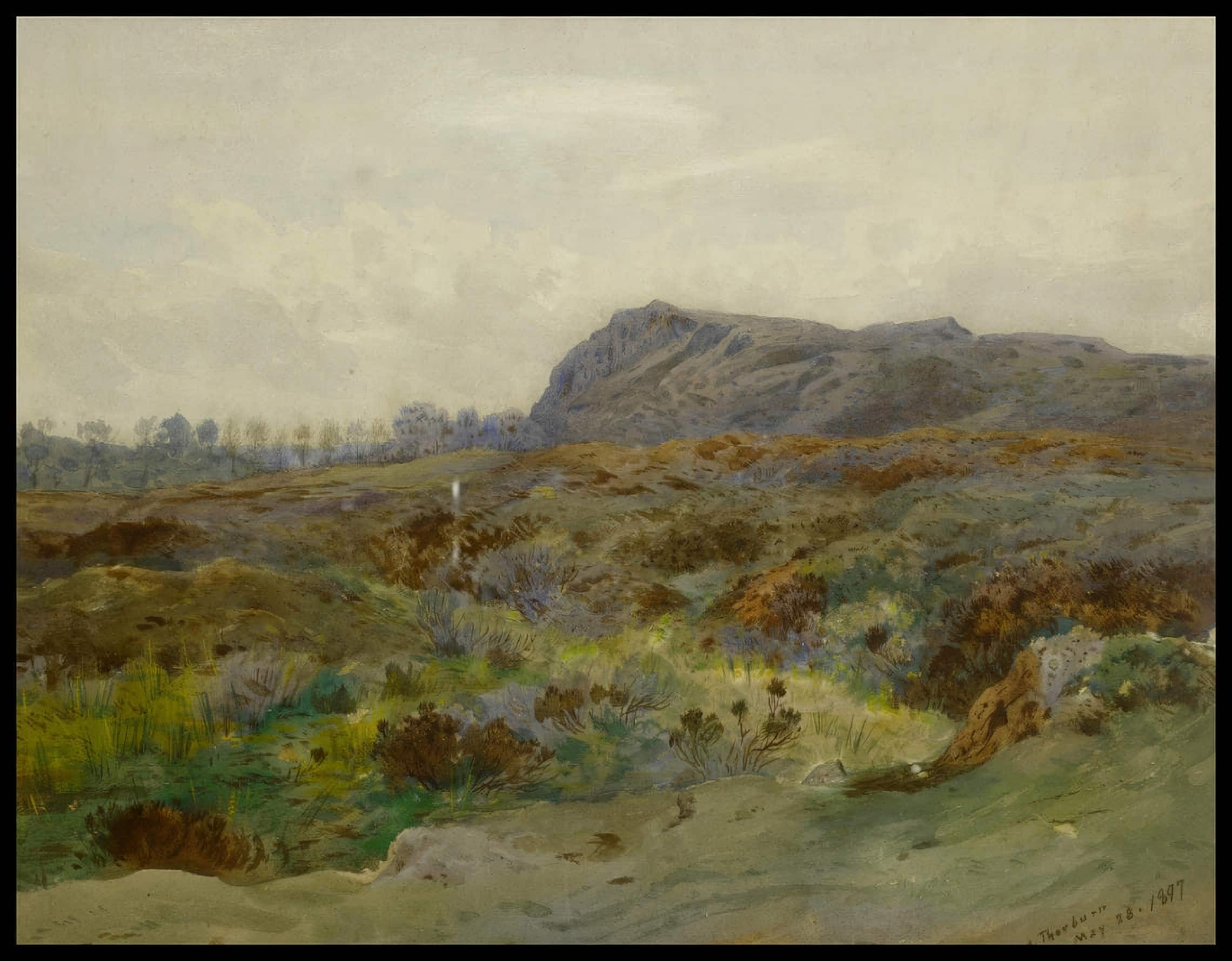 Moorlandschaft Poster