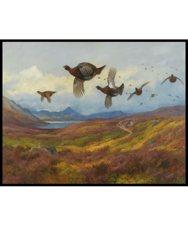 Moorschneehühner Poster