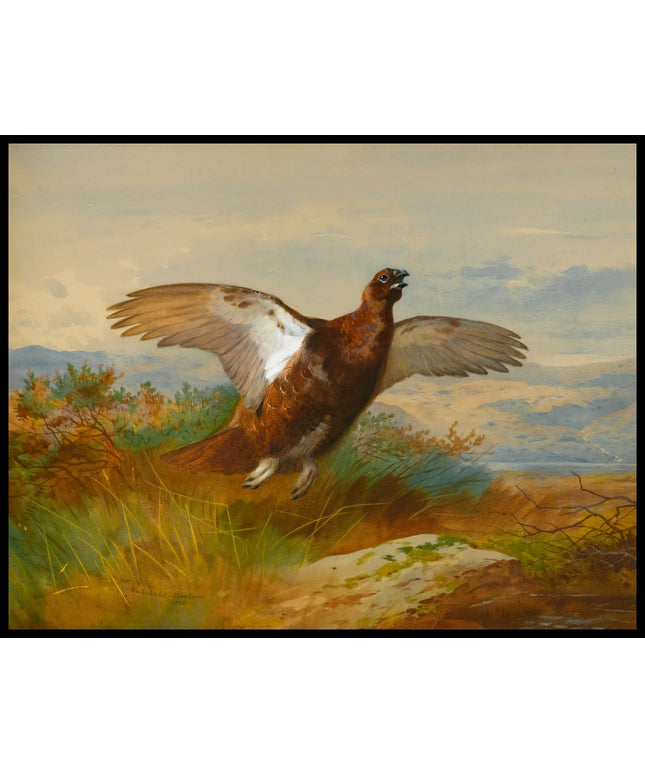 Moorschneehuhn Poster