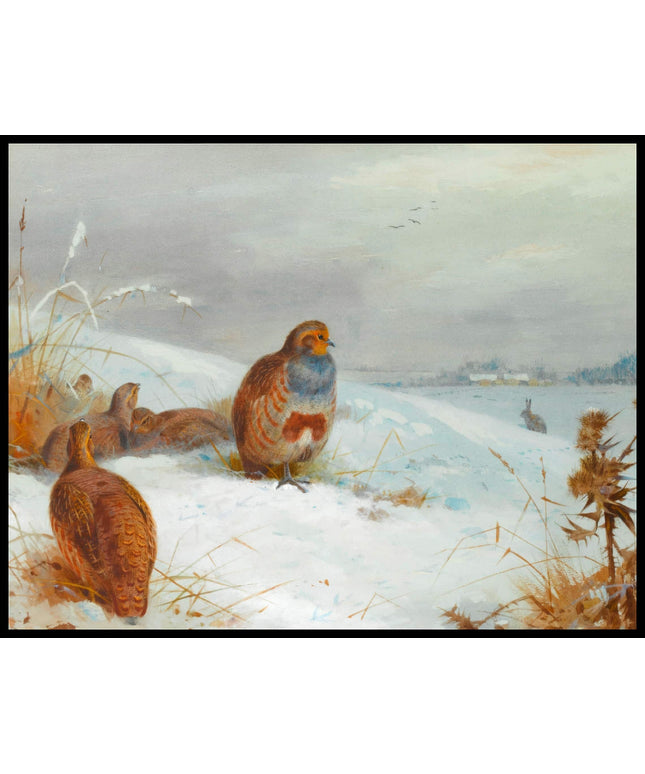 Rebhühner Poster