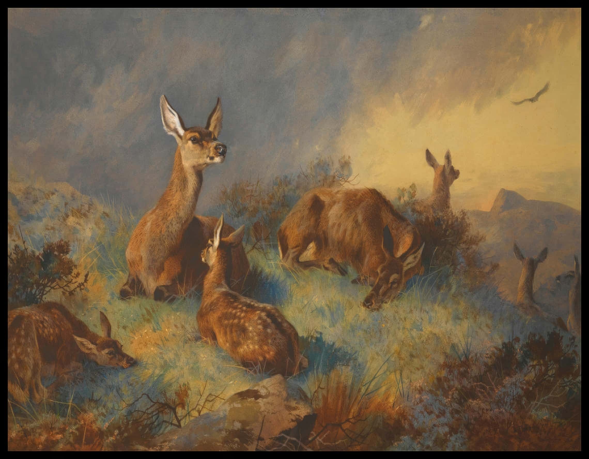 Rehe Poster